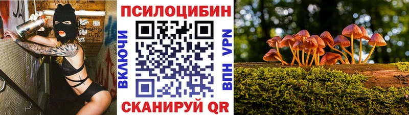 Псилоцибиновые грибы Psilocybe  сколько стоит  Балашиха 